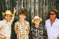 The Bayou Mosquitos